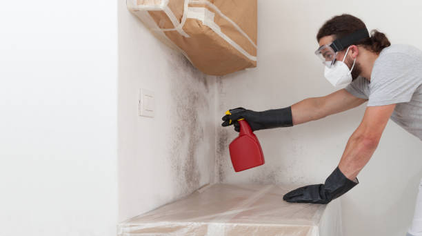 Professional Mold Remediation technician working in Coram, NY