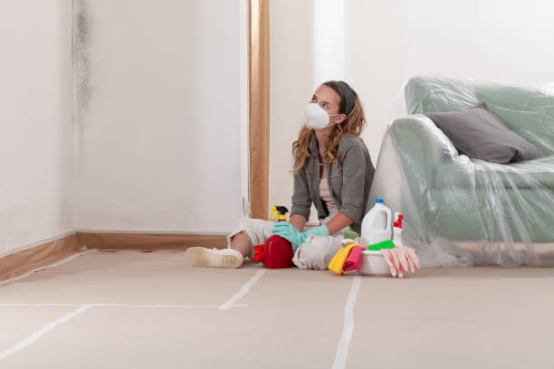 Reliable Mold Remediation contractor in Coram, NY by 24 Hour Mold Removal